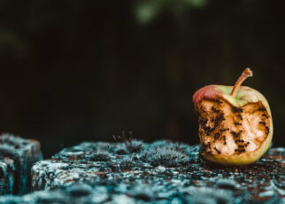 Manzana oxidada