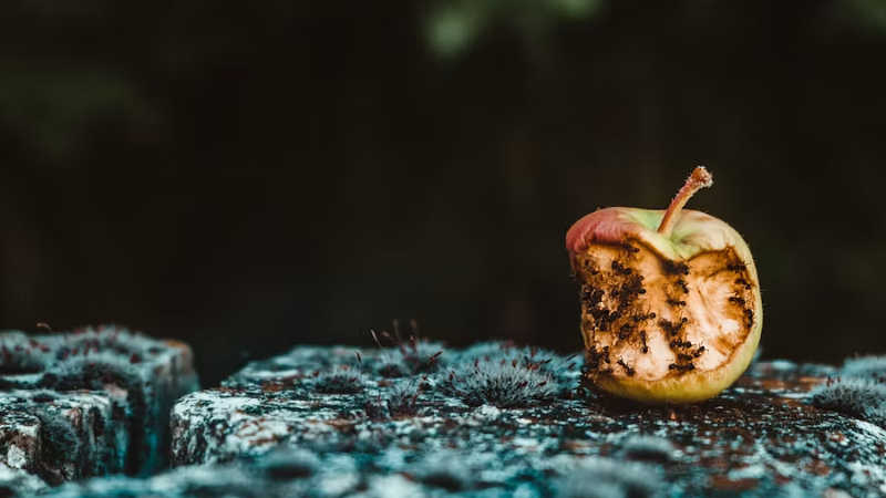 Manzana oxidada